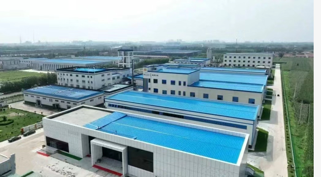 Shandong Lonyuta Pharmaceutical Technology Co., Ltd.